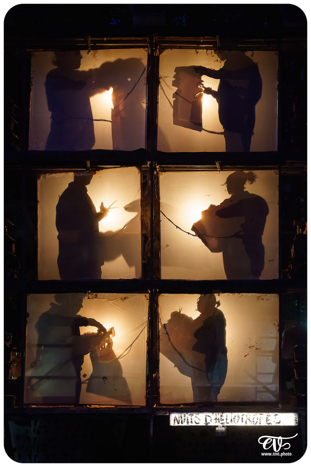 TMTPHOTO LA TORTUE DE GAUGUIN 006